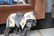 Load image into Gallery viewer, Custom Pet Socks