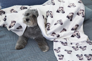 Custom Pet Blanket